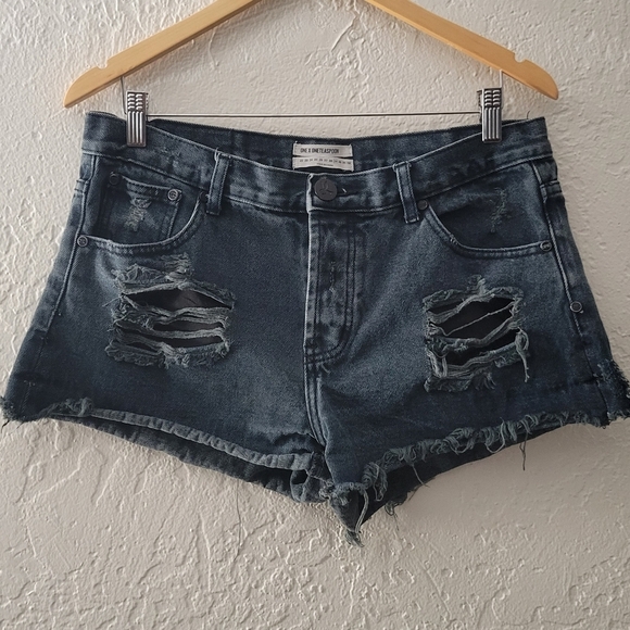 One Teaspoon Bandits Shorts Size 29 - Picture 1 of 9